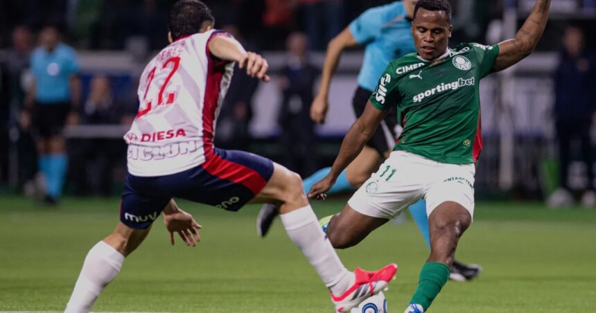 Palmeiras-cerrojpg - Podp Bahia