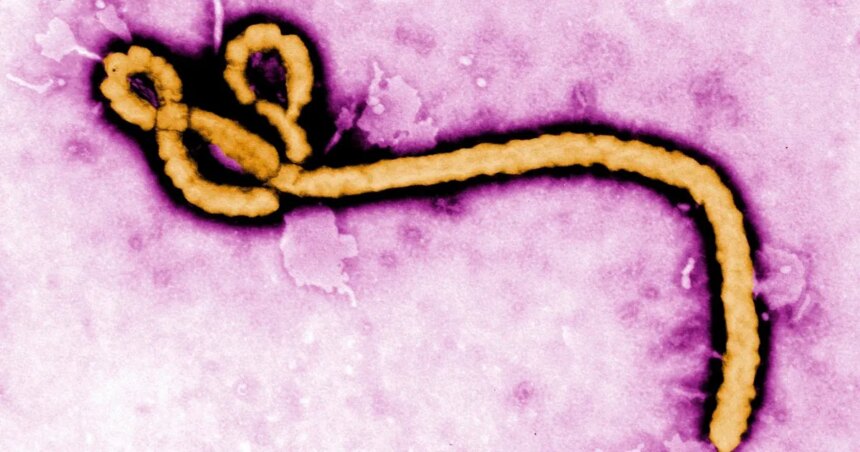 Ebola_8a4b8f-e1780151831891jpg - Podp Bahia