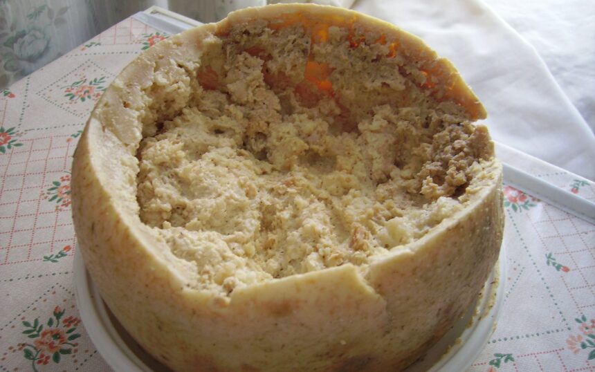 Queijo-mais-perigoso-do-mundo-e-servido-como-iguar0139036100202605282147jpg - Podp Bahia