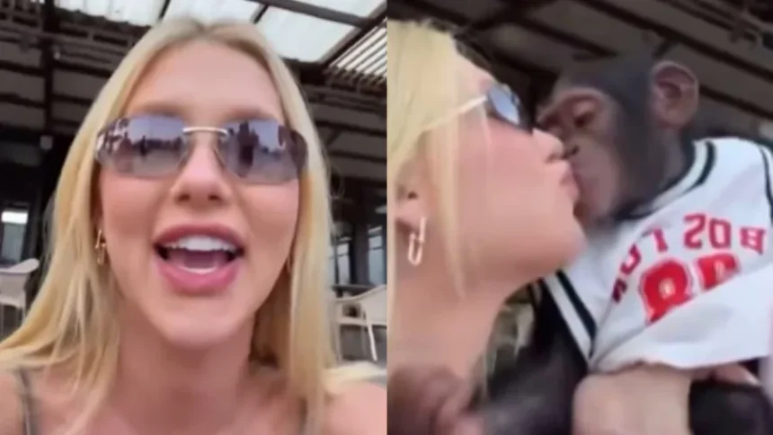 Virginia-fonseca-vira-alvo-de-criticas-apos-video-beijando-macaco-em-zoologico-de-dubaiwebpwebp - Podp Bahia