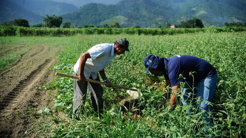 Agricultura_familiar_widelgjpg - Podp Bahia