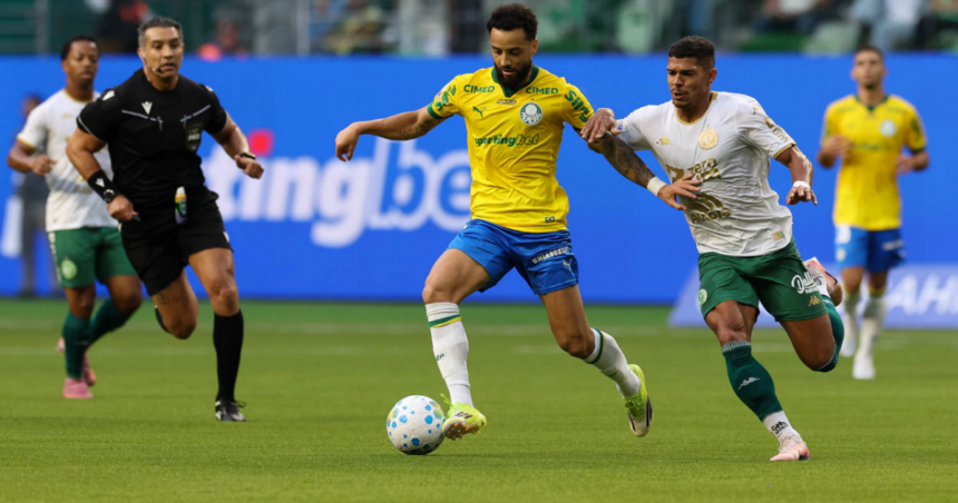 Palmeiras-chapecoensepng - Podp Bahia