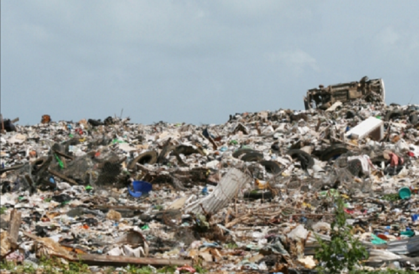 Prefeitura-vai-ter-que-adotar-medidas-contra-anima0139268400202606191250png - Podp Bahia