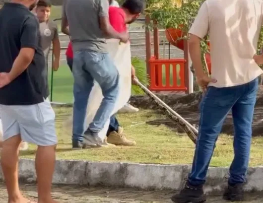 Whatsapp-image-2026-07-18-at-112758webpwebp - Podp Bahia