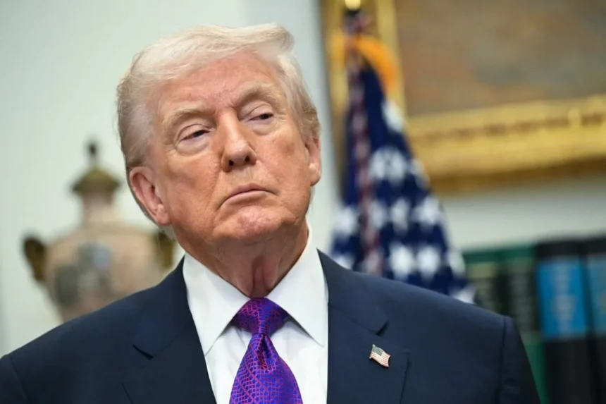 Trump-184535webpwebp - Podp Bahia
